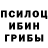 Галлюциногенные грибы Cubensis Kenny Channel