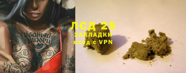 spice Алзамай