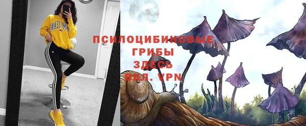 прущая мука Алексин