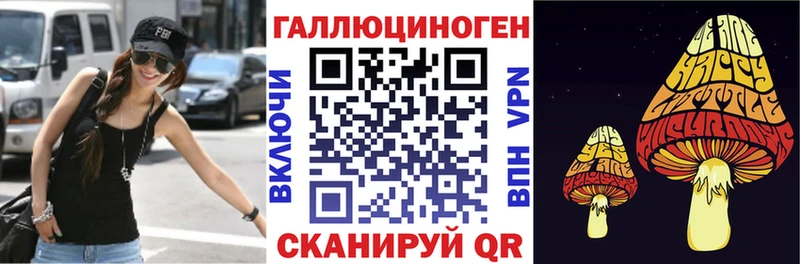 Галлюциногенные грибы Cubensis  Купить  Ворсма 